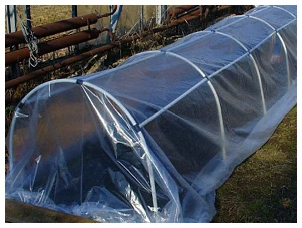 Как выбрать теплицу или парник?