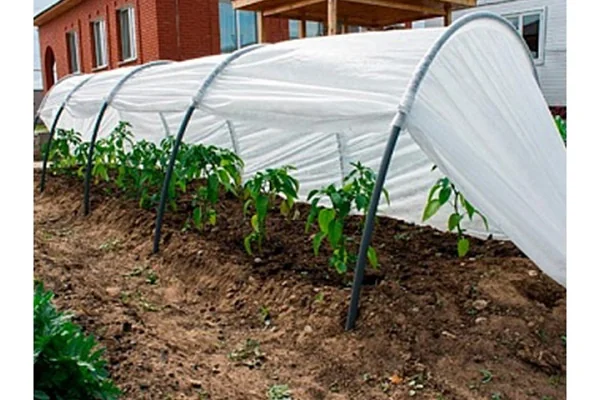 Как выбрать теплицу или парник?