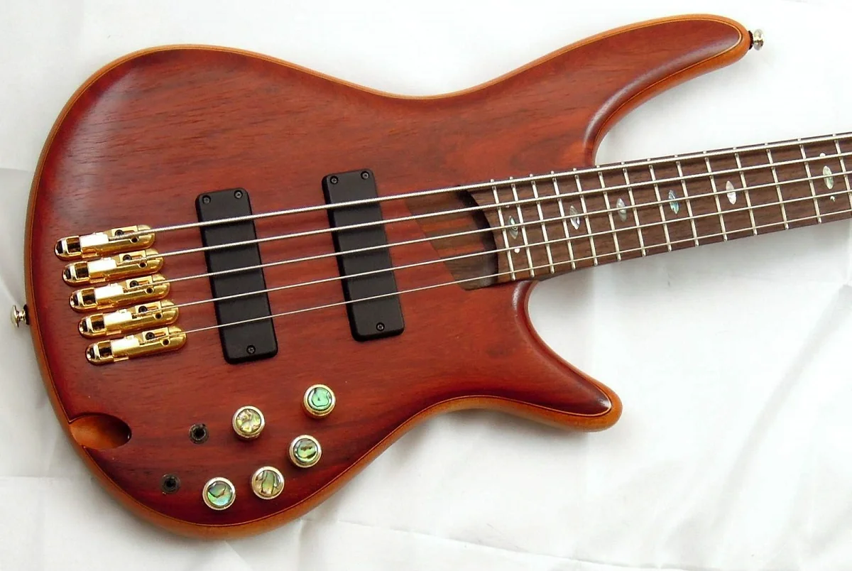 Как выбрать электро- или бас-гитару?