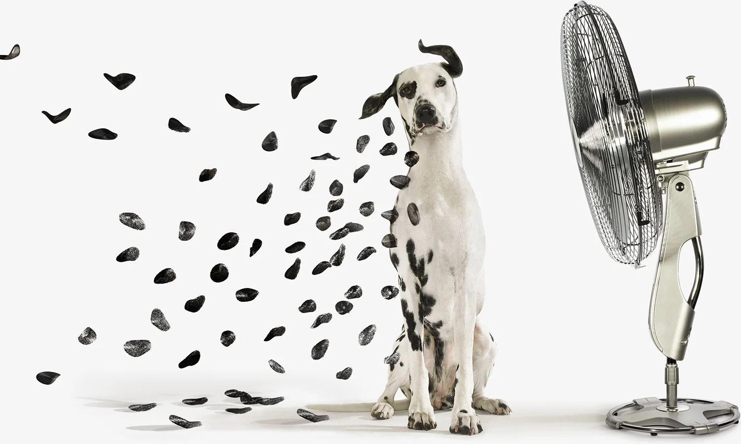 Как выбрать вентилятор?